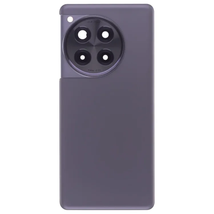 Задняя крышка для OnePlus 12R (CPH2609) (серый) (в сборе со стеклом камеры)