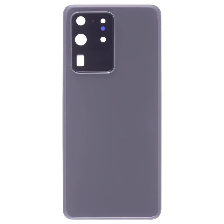 Задняя крышка для Samsung G988 Galaxy S20 Ultra (серый) (в сборе со стеклом камеры)