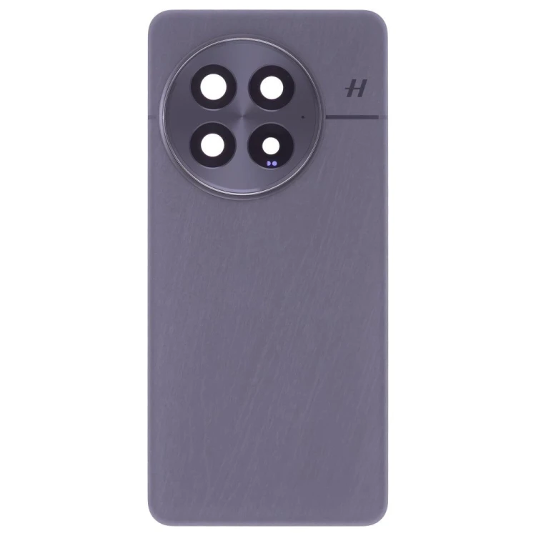 Задняя крышка для OnePlus 13 (CPH2653) (черный) (в сборе со стеклом камеры)